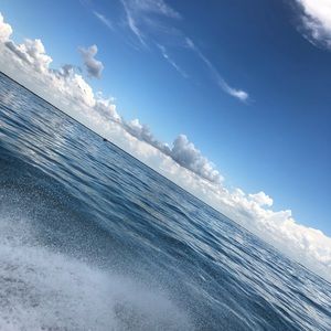 Meet your Posher, Jade